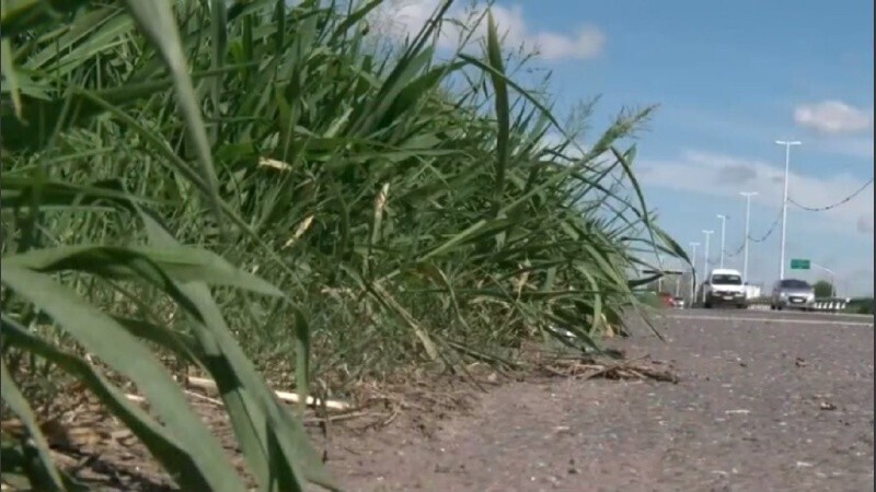 Imagen de La Justicia ordenó a Vialidad que cumpla el mantenimiento de Circunvalación