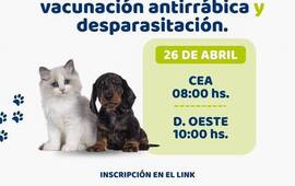 Imagen de Campaña de castración, vacunación antirrábica y desparasitación en Alvear