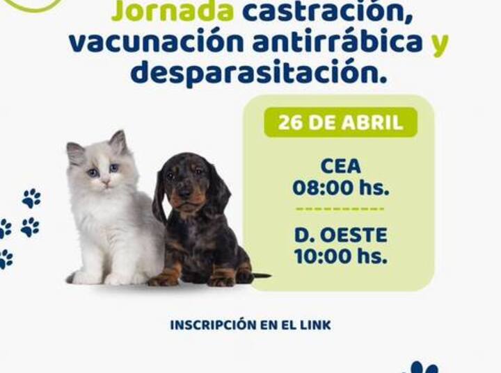 Imagen de Campaña de castración, vacunación antirrábica y desparasitación en Alvear