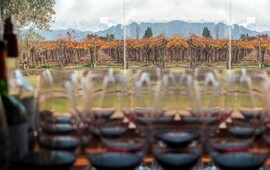 Mendoza, uno de los destinos elegidos para Semana Santa.