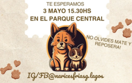 Imagen de Narices Frías organiza el "Caninatón" en General Lagos para celebrar el Día del Animal