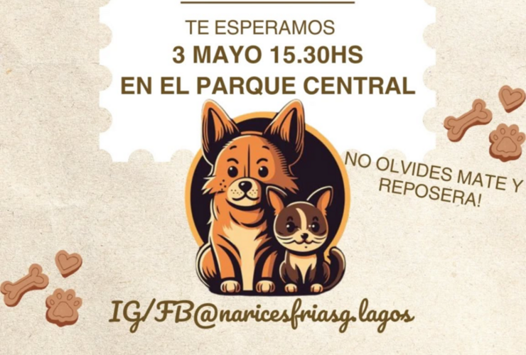 Imagen de Narices Frías organiza el "Caninatón" en General Lagos para celebrar el Día del Animal