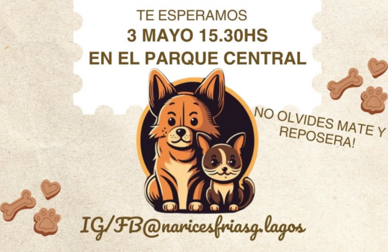 Imagen de Narices Fr&iacute;as organiza el "Caninat&oacute;n" en General Lagos para celebrar el D&iacute;a del Animal