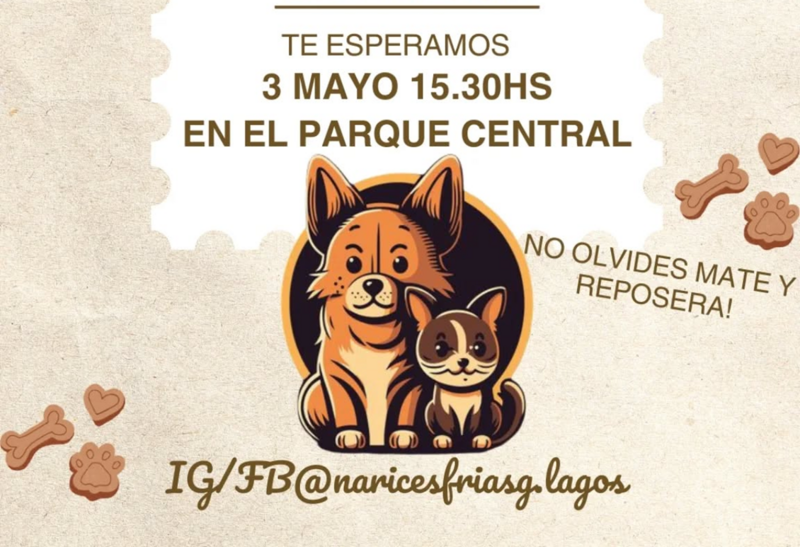 Imagen de Narices Frías organiza el "Caninatón" en General Lagos para celebrar el Día del Animal