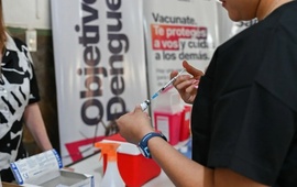 Imagen de La vacunación contra el dengue superó las 120.000 dosis