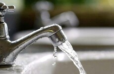 La principal vía de transmisión de la fiebre tifoidea es la fecal-oral: la bacteria se propaga a través de la ingesta de alimentos o agua que fueron contaminados.