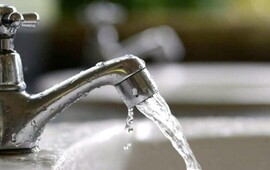 La principal vía de transmisión de la fiebre tifoidea es la fecal-oral: la bacteria se propaga a través de la ingesta de alimentos o agua que fueron contaminados.