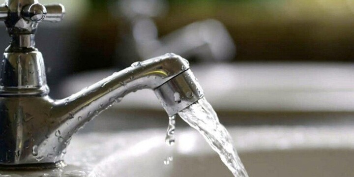 La principal vía de transmisión de la fiebre tifoidea es la fecal-oral: la bacteria se propaga a través de la ingesta de alimentos o agua que fueron contaminados.