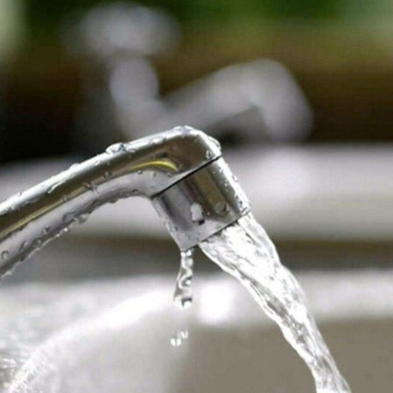 La principal vía de transmisión de la fiebre tifoidea es la fecal-oral: la bacteria se propaga a través de la ingesta de alimentos o agua que fueron contaminados.