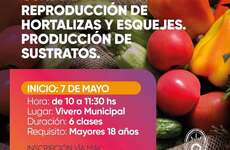 Imagen de Nuevo Curso de Reproducción de Hortalizas y esquejes, y producción de sustratos