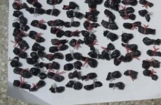 Se incautaron 102 envoltorios con una sustancia blanquecina que sería cocaína.
