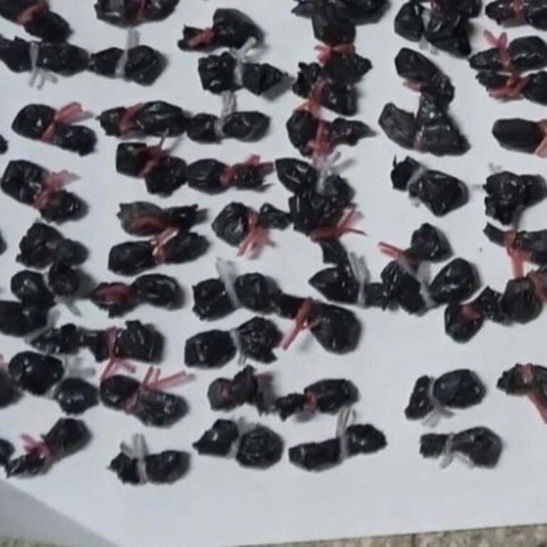 Se incautaron 102 envoltorios con una sustancia blanquecina que sería cocaína.