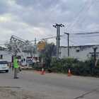 Imagen de Vecinos molestos: aseguran que no fueron consultados por la instalación de semáforos y la extracción de un árbol centenario