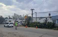 Imagen de Vecinos molestos: aseguran que no fueron consultados por la instalación de semáforos y la extracción de un árbol centenario