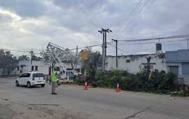 Imagen de Vecinos molestos: aseguran que no fueron consultados por la instalación de semáforos y la extracción de un árbol centenario