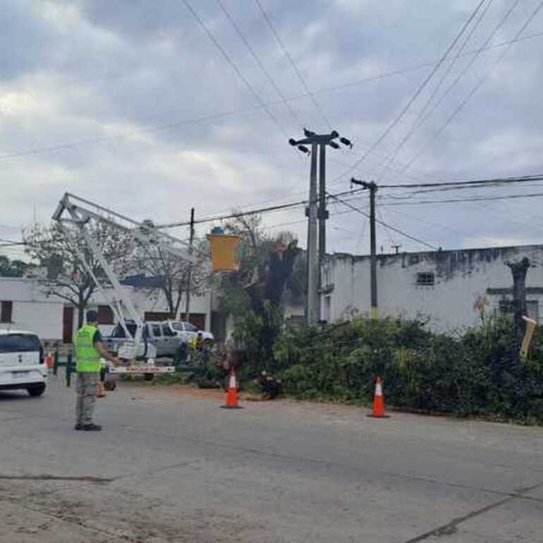 Imagen de Vecinos molestos: aseguran que no fueron consultados por la instalación de semáforos y la extracción de un árbol centenario