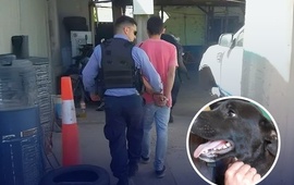 Imagen de Condenado por maltrato animal: deber&aacute; hacer tareas comunitarias en una guarder&iacute;a canina