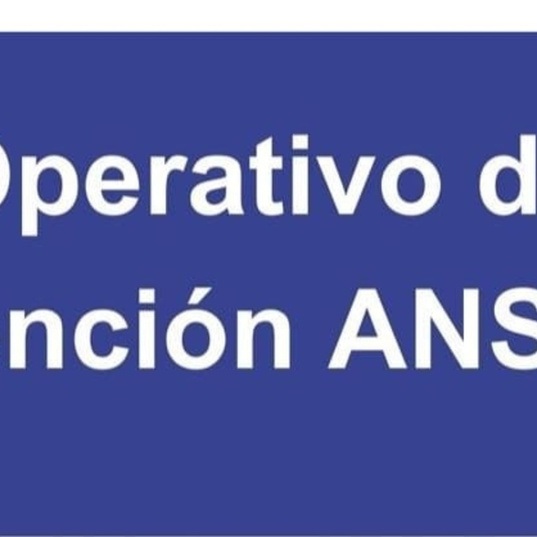 Imagen de Operativo de atención de ANSES en Pueblo Esther