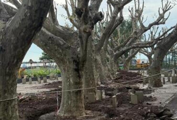 Imagen de El Rowing Club inició con la renovación total de su patio