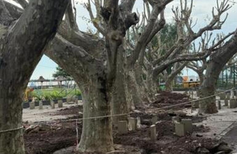 Imagen de El Rowing Club inició con la renovación total de su patio
