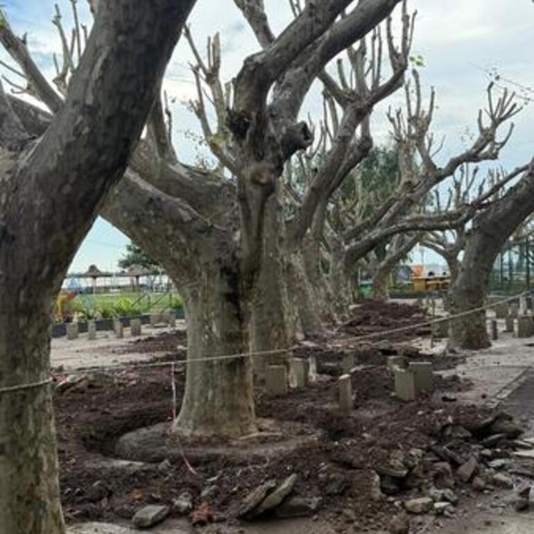 Imagen de El Rowing Club inició con la renovación total de su patio