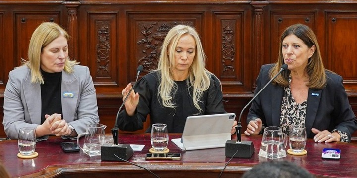 Imagen de Clara García: "El trabajo conjunto de los tres poderes del Estado permitió bajar el delito en Santa Fe"