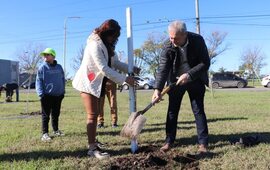 Imagen de Plantaron 50 &aacute;rboles en homenaje a donantes de &oacute;rganos