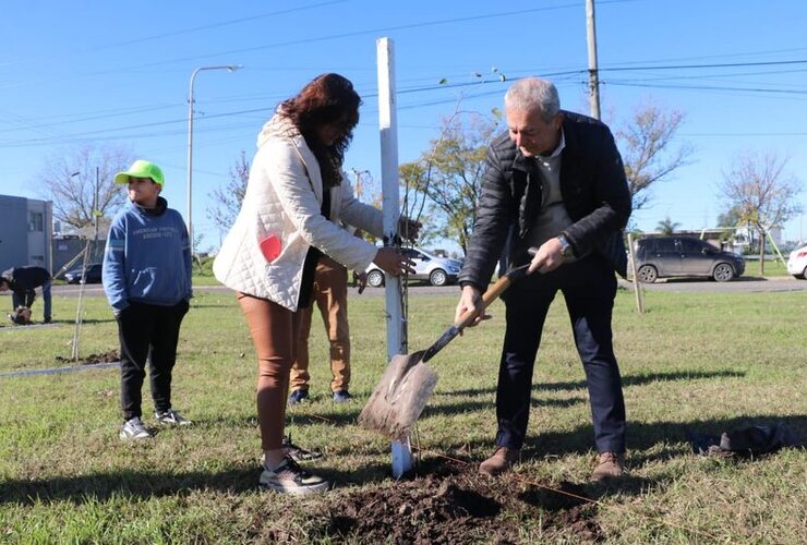 Imagen de Plantaron 50 árboles en homenaje a donantes de órganos