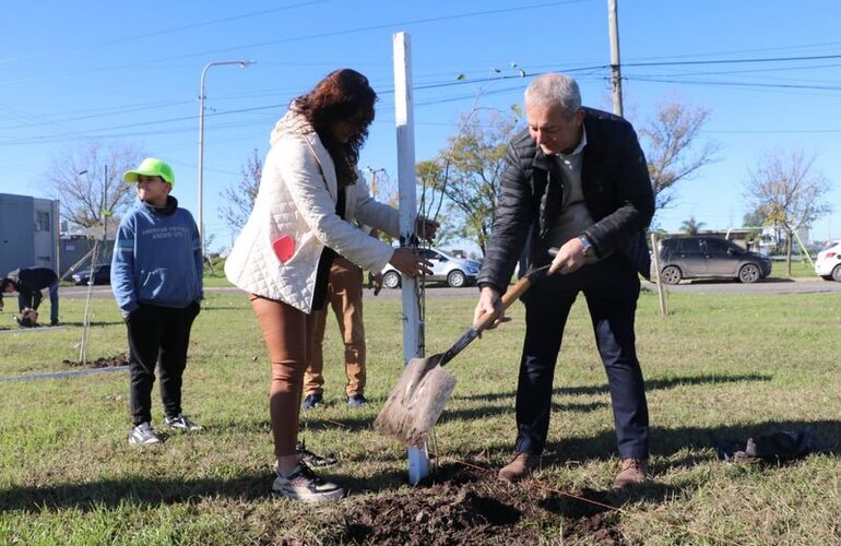 Imagen de Plantaron 50 árboles en homenaje a donantes de órganos