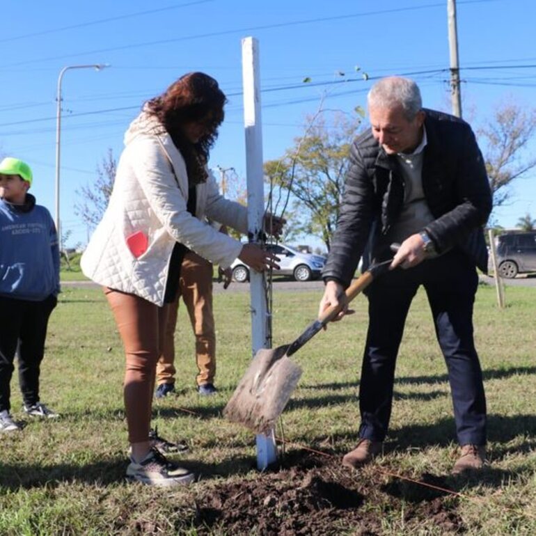 Imagen de Plantaron 50 árboles en homenaje a donantes de órganos