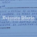 Imagen de Intervención por posible caso de maltrato animal