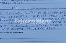 Imagen de Intervención por posible caso de maltrato animal