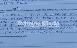 Imagen de Intervenci&oacute;n por posible caso de maltrato animal