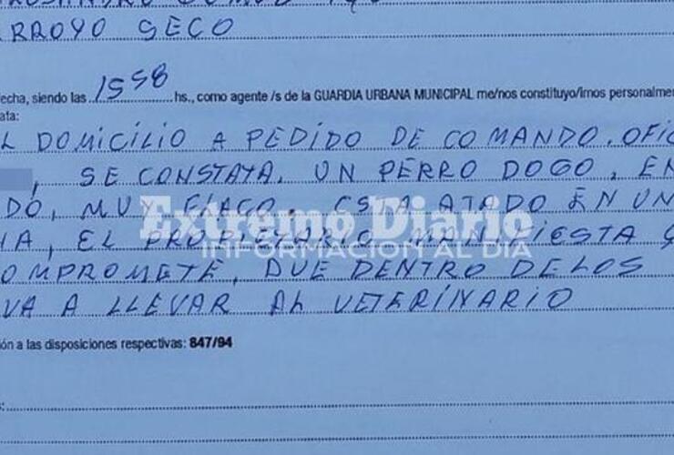 Imagen de Intervención por posible caso de maltrato animal