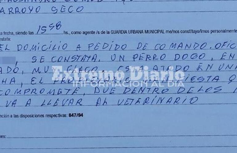Imagen de Intervención por posible caso de maltrato animal