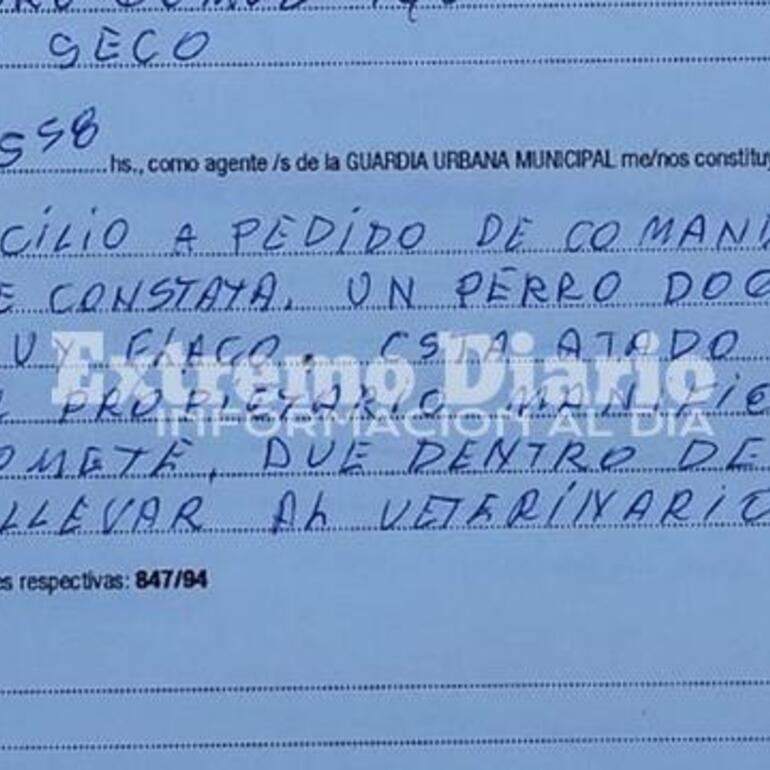 Imagen de Intervención por posible caso de maltrato animal