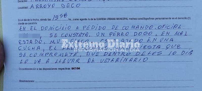 Imagen de Intervención por posible caso de maltrato animal