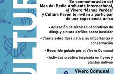Imagen de Pavón invita a una experiencia creativa y ambiental con el taller Arte en Nativas