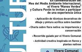 Imagen de Pav&oacute;n invita a una experiencia creativa y ambiental con el taller �Arte en Nativas�