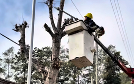 Imagen de Jornadas de poda en altura en barrios de General Lagos
