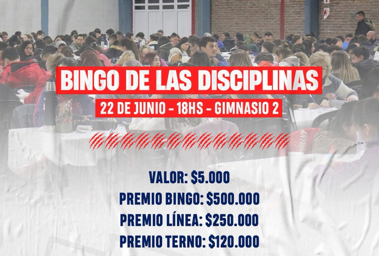 Imagen de El 22/06, Bingo de Disciplinas en Talleres