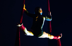 Imagen de Muestra de Acrobacias en Tela de Unión