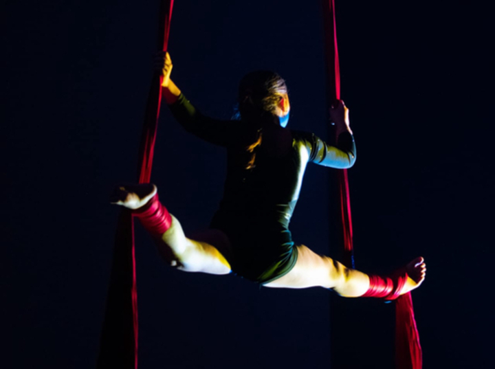 Imagen de Muestra de Acrobacias en Tela de Unión