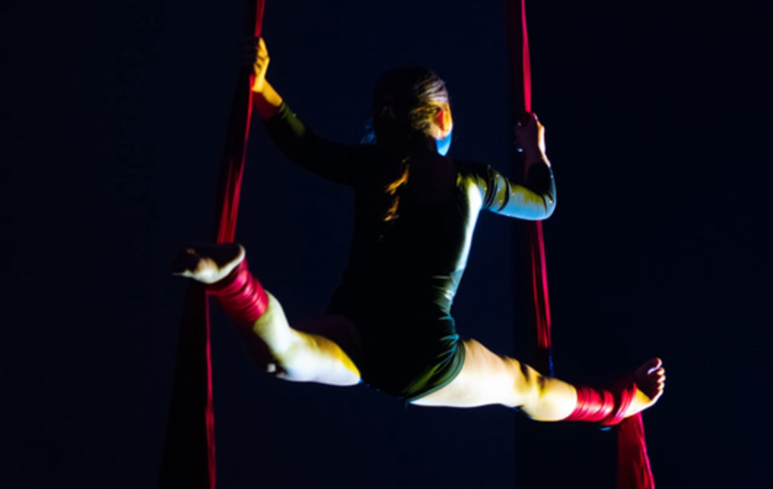 Imagen de Muestra de Acrobacias en Tela de Uni&oacute;n