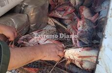 Imagen de Se incautó pescado por infracción a la ley de veda y por no contar con la guía de pesca