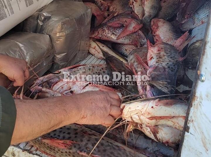 Imagen de Se incautó pescado por infracción a la ley de veda y por no contar con la guía de pesca