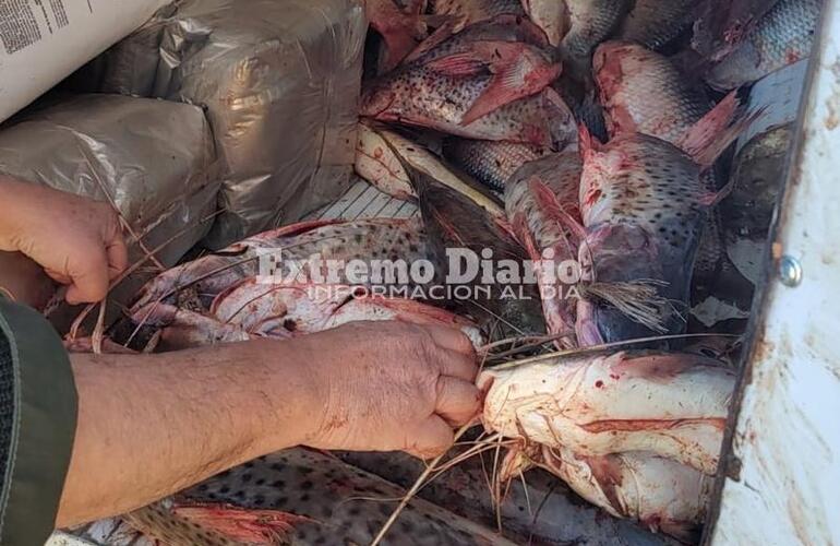 Imagen de Se incautó pescado por infracción a la ley de veda y por no contar con la guía de pesca