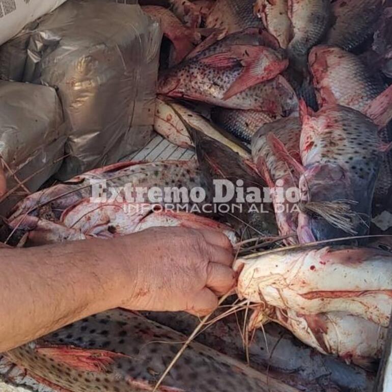 Imagen de Se incautó pescado por infracción a la ley de veda y por no contar con la guía de pesca