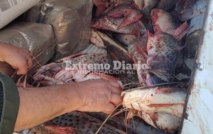 Imagen de Se incaut&oacute; pescado por infracci&oacute;n a la ley de veda y por no contar con la gu&iacute;a de pesca