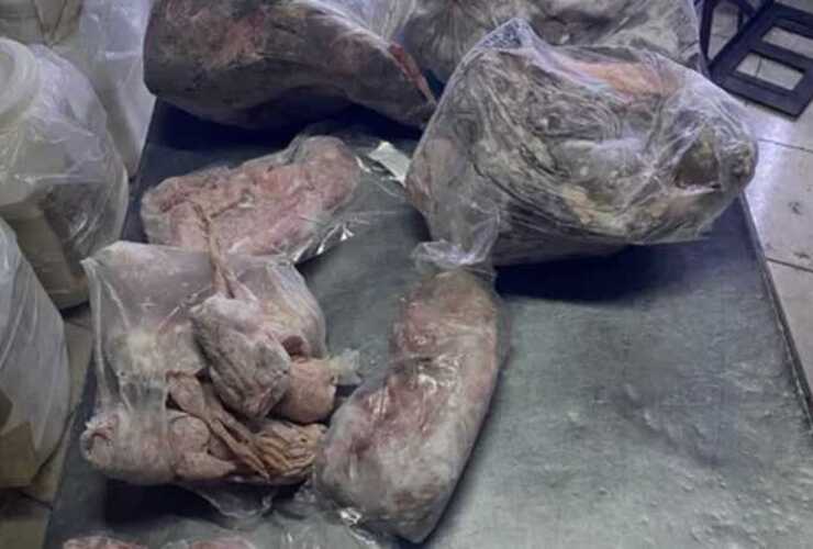 Imagen de Clausuraron un local de comidas clandestino que vendía carne de carpincho, yacaré y ranas